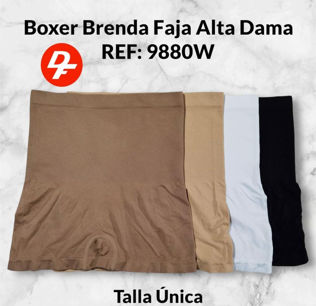 Miniatura 3 de boxer dama contro abdomen